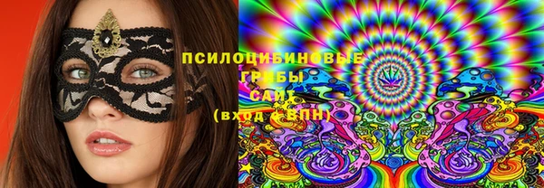 скорость Ладушкин