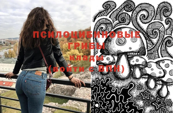 скорость Ладушкин