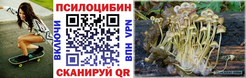 Купить где  Новохопёрск  Галлюциногенные грибы Cubensis 
